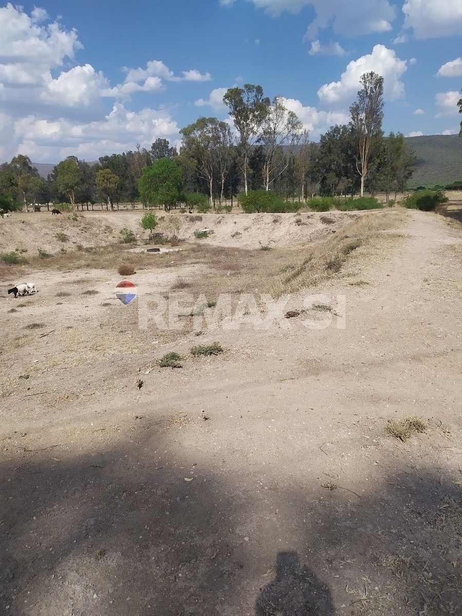 Fazenda em La Purísima, San Luis de la Paz, foto 4 de 14