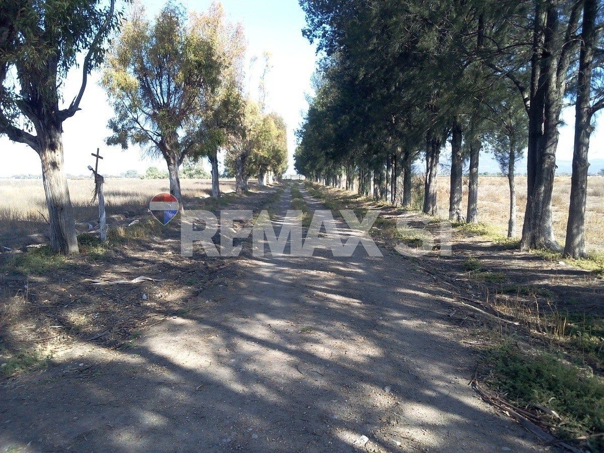 Fazenda em La Purísima, San Luis de la Paz, foto 5 de 14