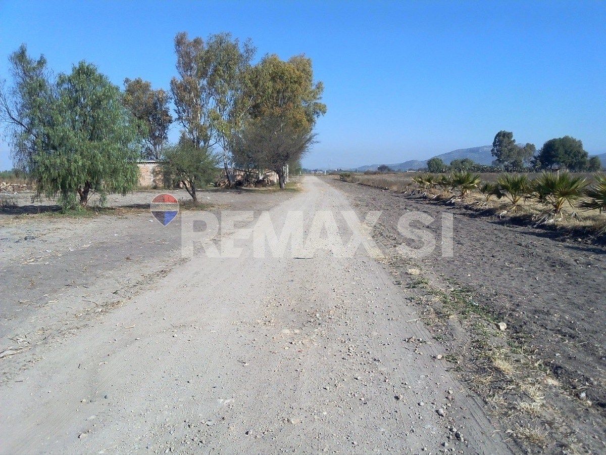 Fazenda em La Purísima, San Luis de la Paz, foto 8 de 14