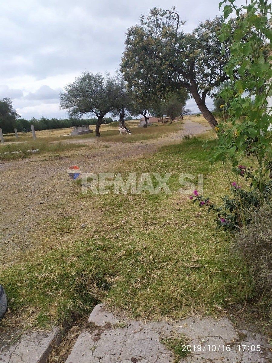 Fazenda em La Purísima, San Luis de la Paz, foto 10 de 14