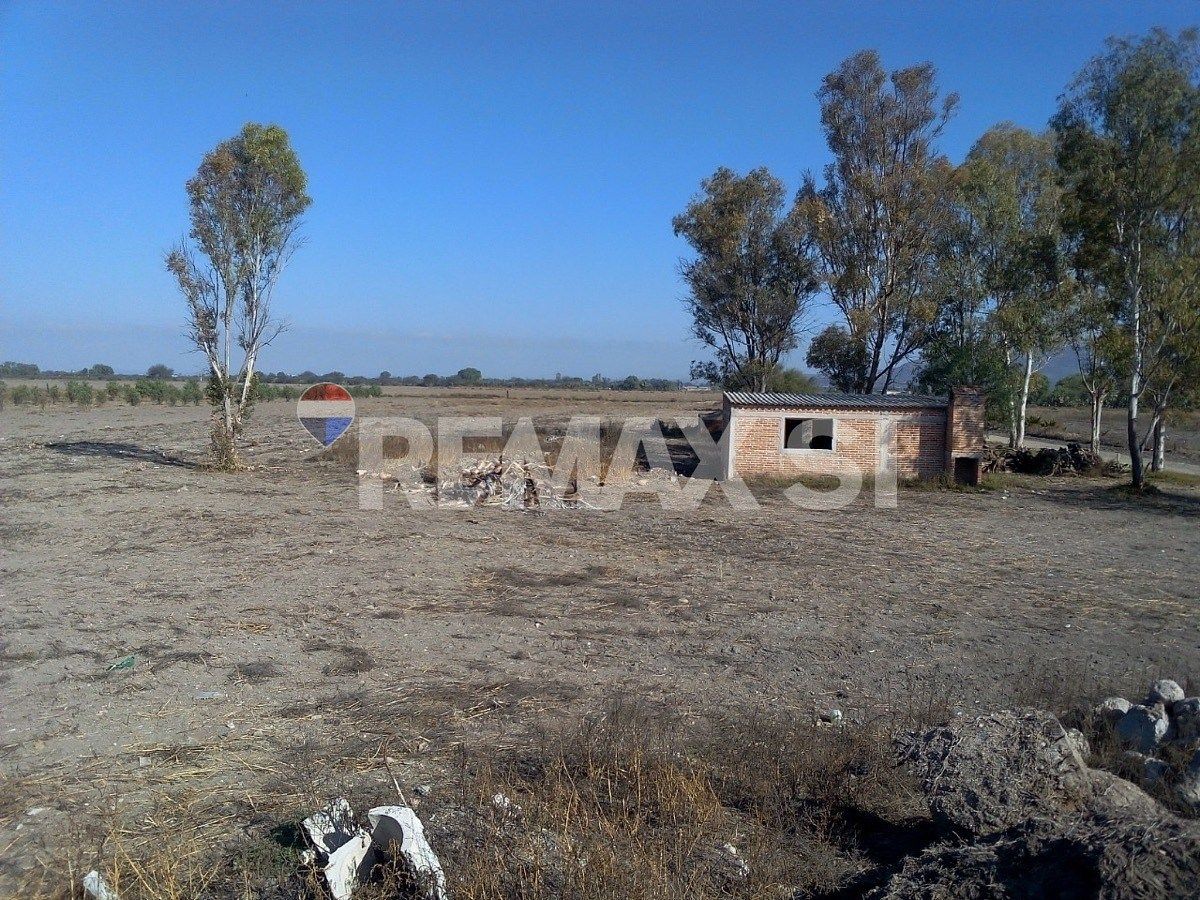 Fazenda em La Purísima, San Luis de la Paz, foto 14 de 14