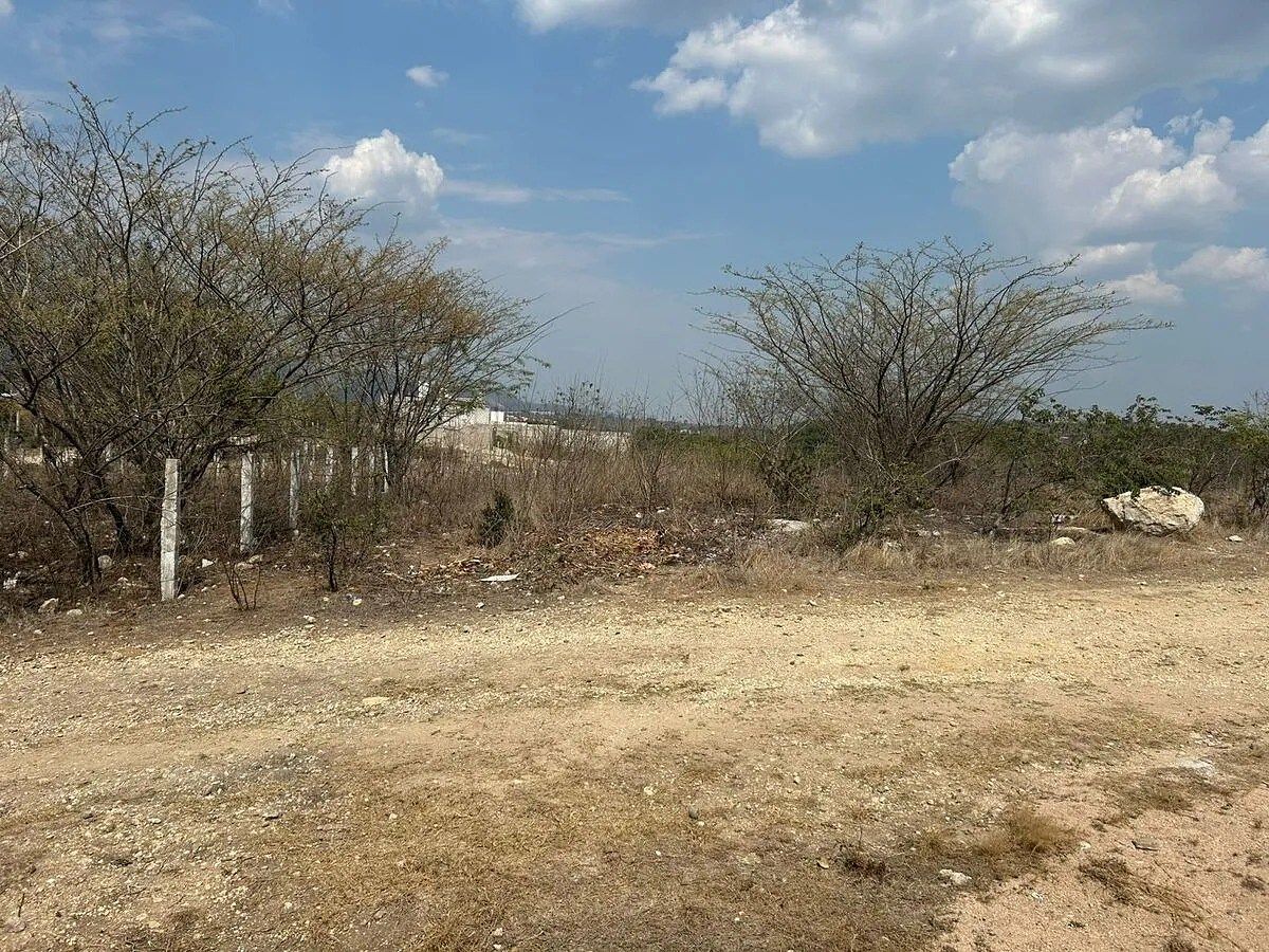 Lote em Berriozabal Centro, Berriozábal, foto 4 de 16