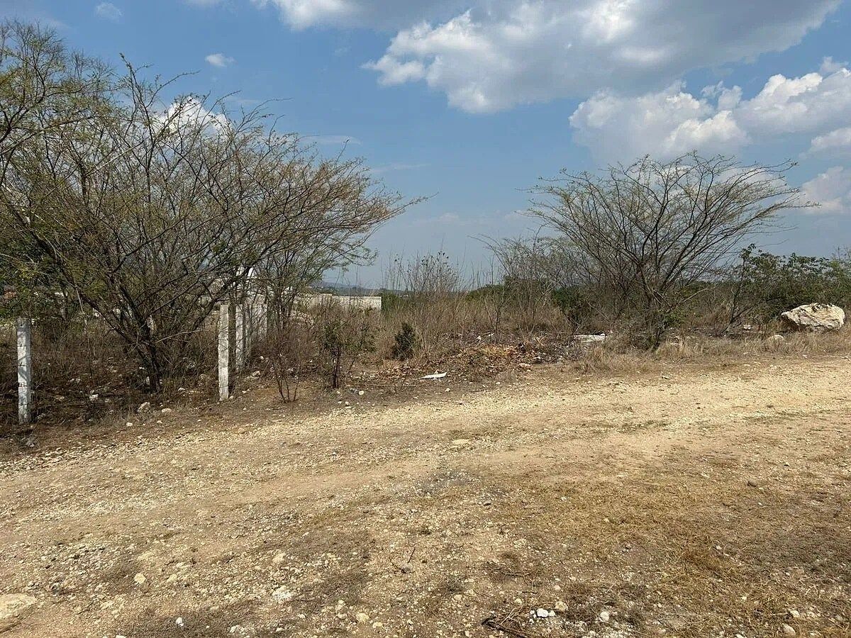 Lote em Berriozabal Centro, Berriozábal, foto 13 de 16