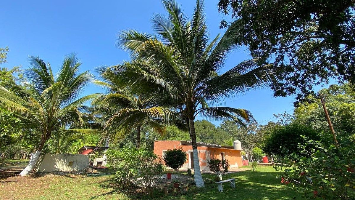 Terreno en China, Campeche, foto 2 de 18