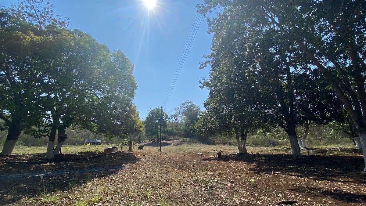 Terreno en China, Campeche, foto 8 de 18