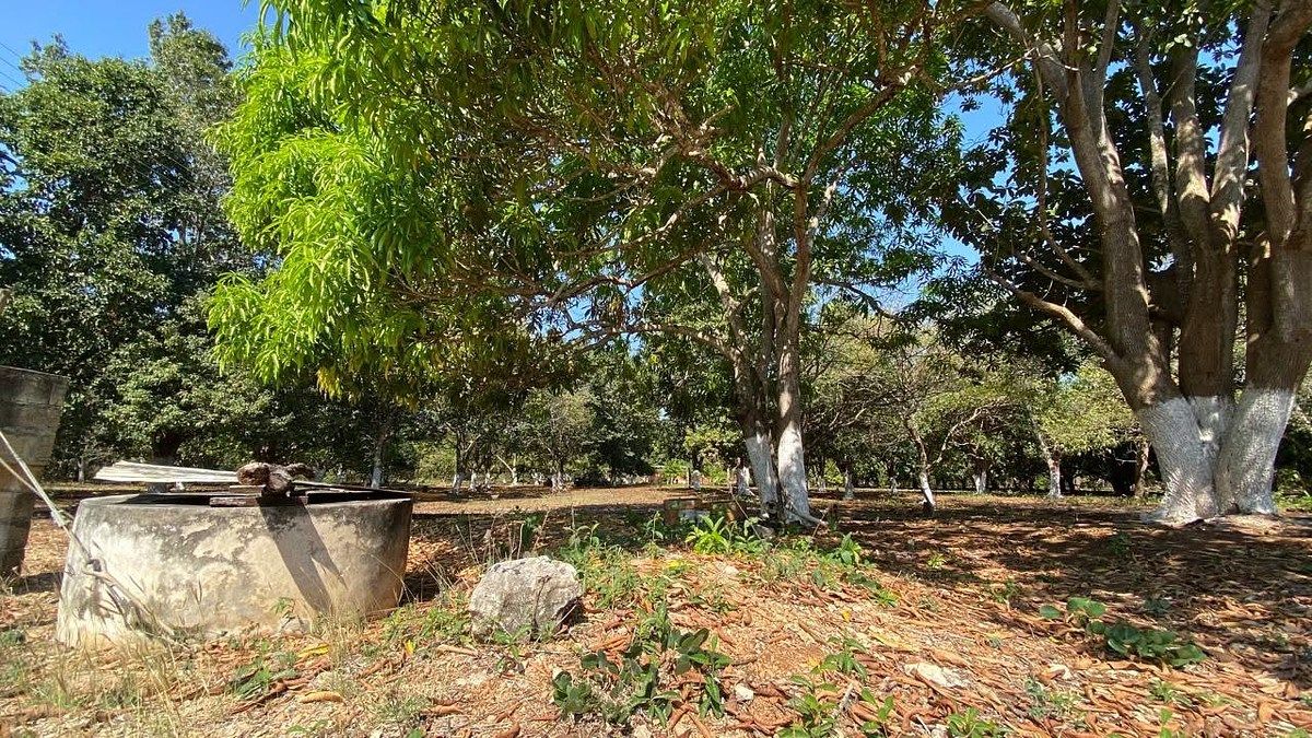 Terreno en China, Campeche, foto 9 de 18