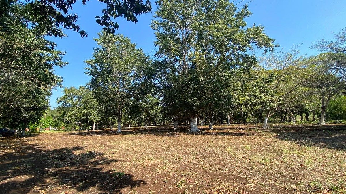 Terreno en China, Campeche, foto 15 de 18