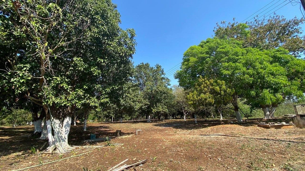 Terreno en China, Campeche, foto 17 de 18