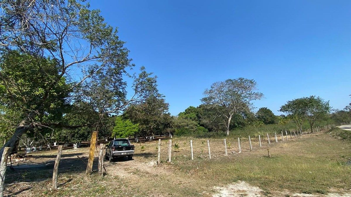 Terreno en China, Campeche, foto 18 de 18