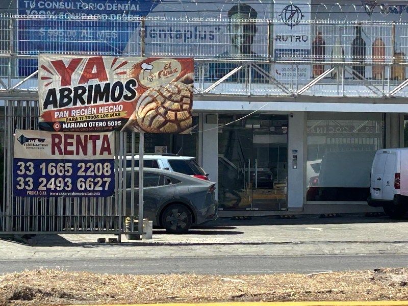 Oficina en Renta en La Calma, foto 1 de 14