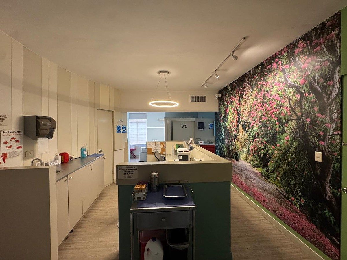 Office in Obispado, Monterrey, photo 20 of 33