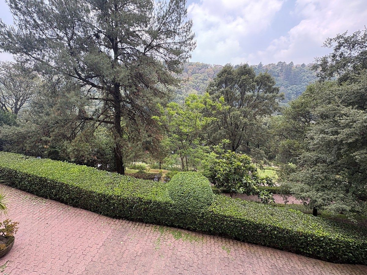 Apartment in San Mateo Tlaltenango, Cuajimalpa de Morelos, photo 19 of 21