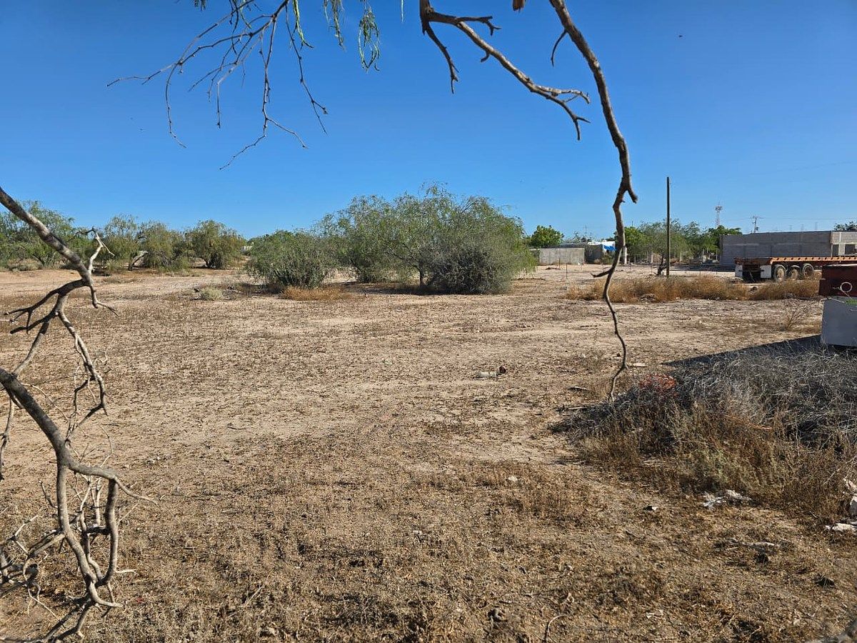 TERRENO EN VENTA EN EL CENTENARIO, foto 1 de 8