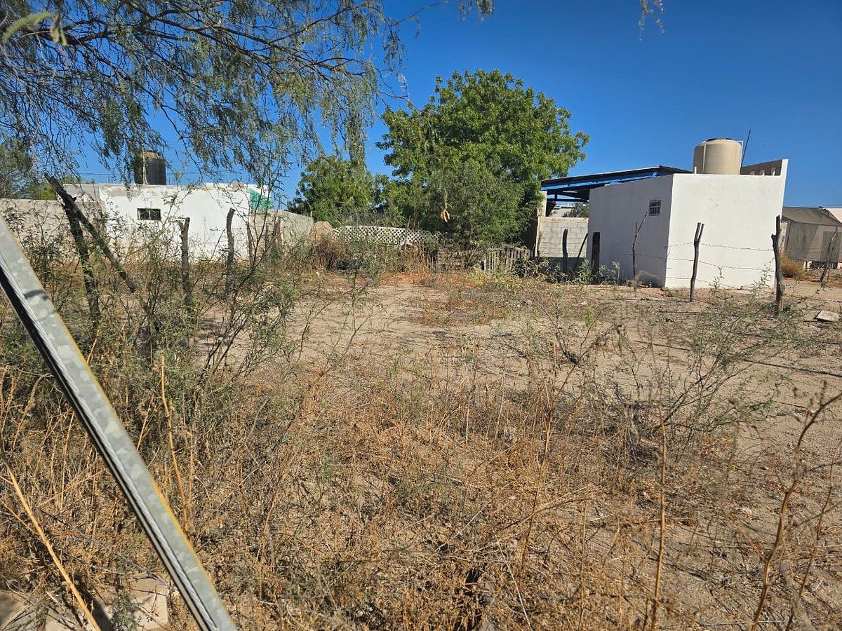Lote em Chametla, La Paz, foto 2 de 6