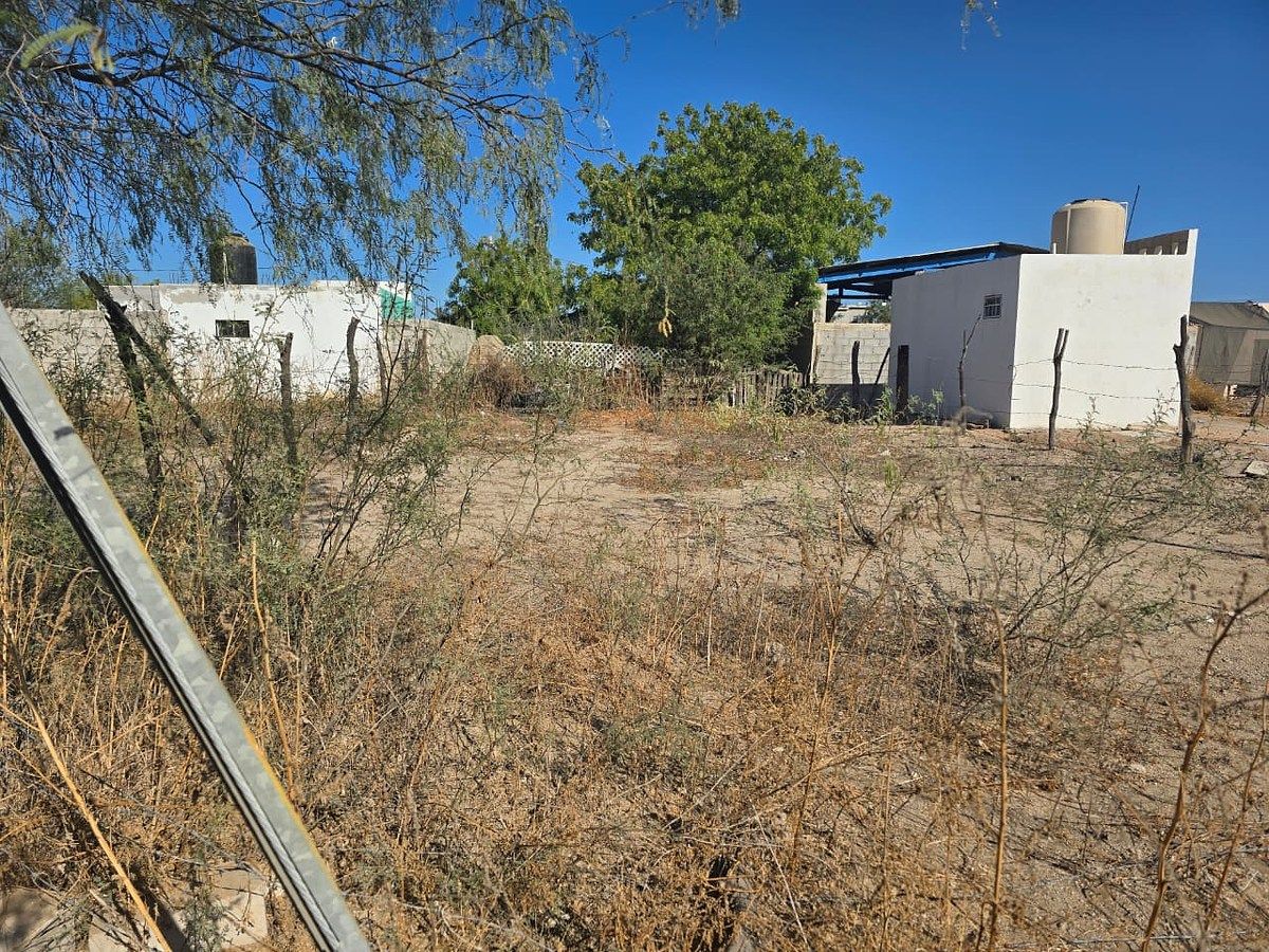 Lote em Chametla, La Paz, foto 3 de 6