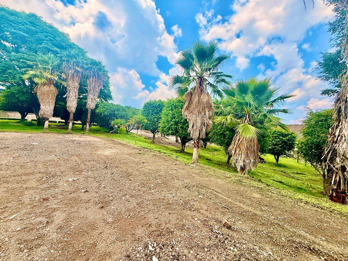 Lote em Del Empleado, Cuernavaca, foto 16 de 17