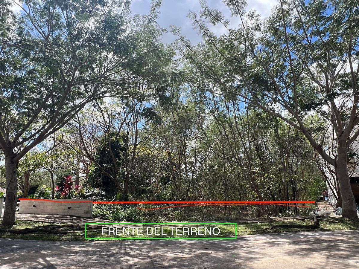 Terreno en Santa Gertrudis Copo, Mérida, foto 5 de 23