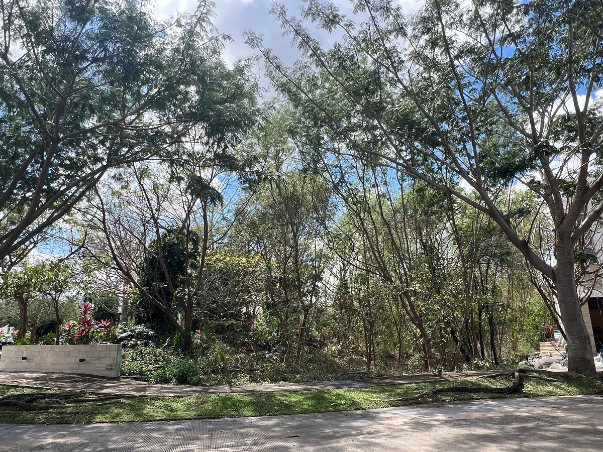 Terreno en Santa Gertrudis Copo, Mérida, foto 10 de 23