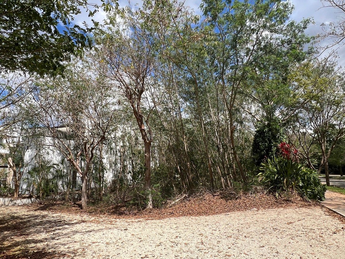 Terreno en Santa Gertrudis Copo, Mérida, foto 13 de 23