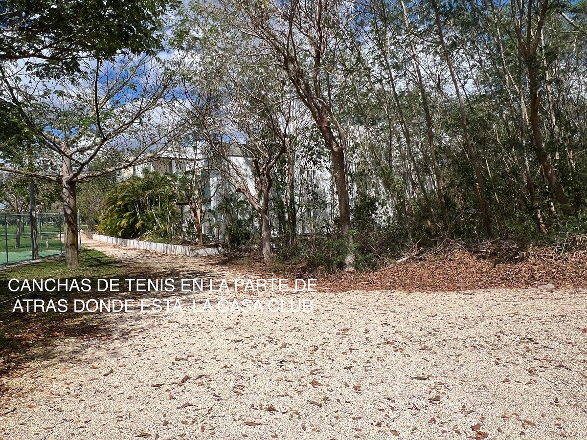 Terreno en Santa Gertrudis Copo, Mérida, foto 7 de 23