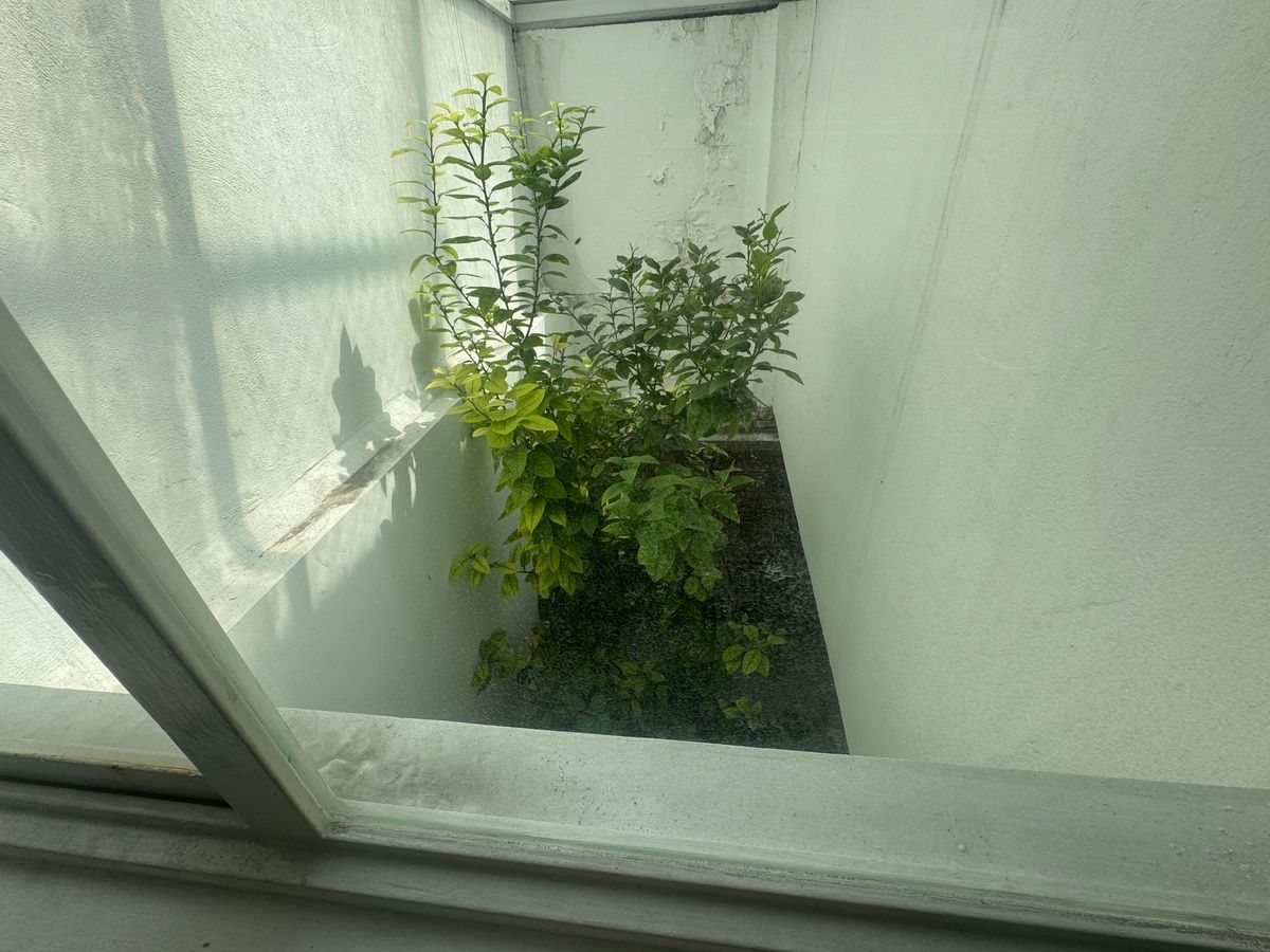 House in Misiones, Naucalpan de Juárez, photo 14 of 41