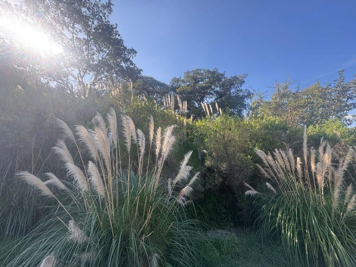 RANCHO SAN JUAN, TERRENO EN VENTA, photo 1 of 14