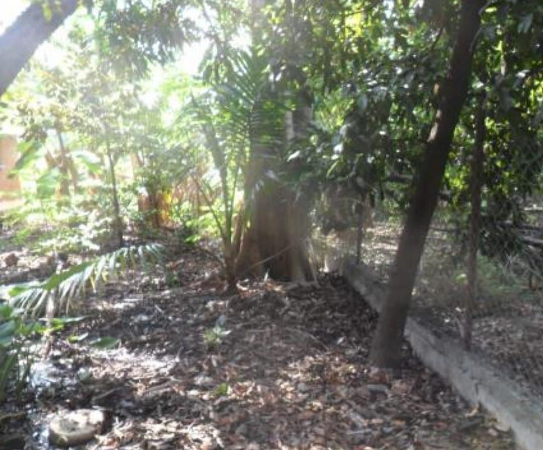 Terreno en Venta en Coatlán del Río, foto 1 de 6