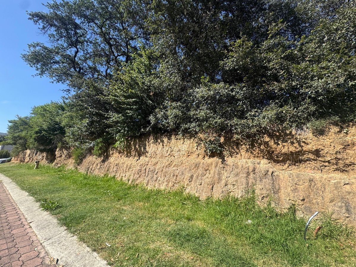 RANCHO SAN JUAN, TERRENO EN VENTA, photo 1 of 14