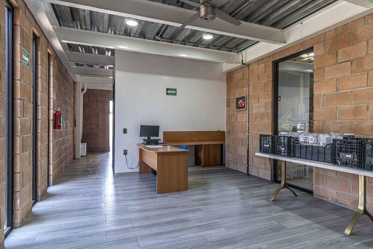 Nave industrial en Tlajomulco Centro, Tlajomulco de Zúñiga, foto 8 de 20