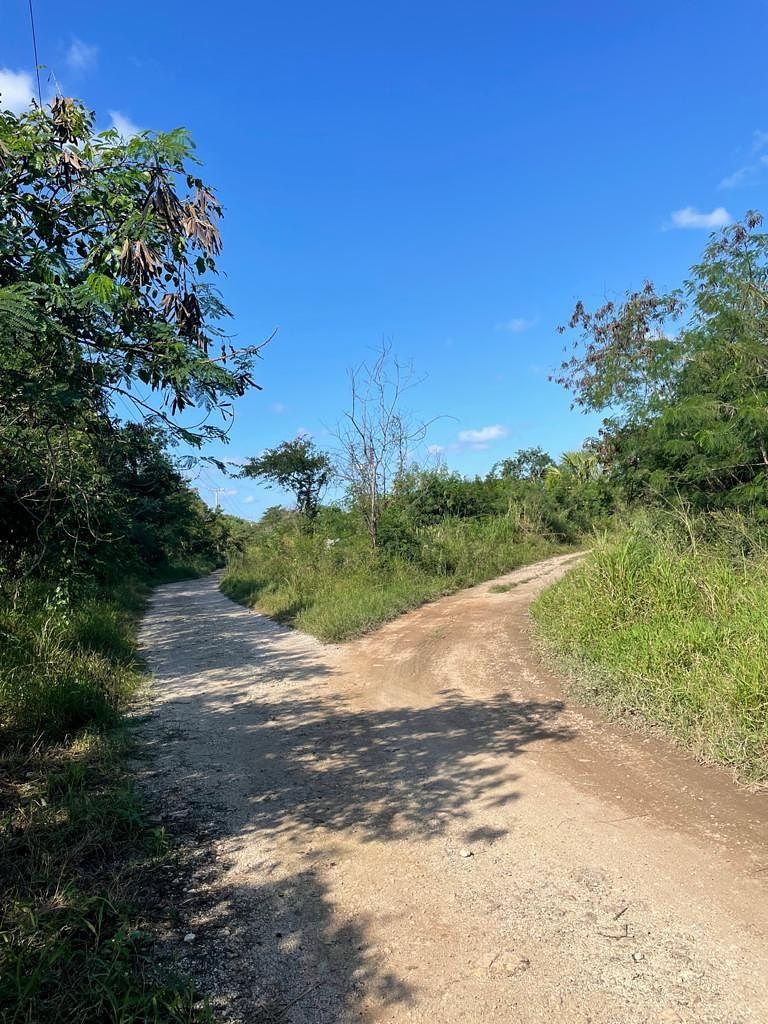 TERRENOS FINCAS MOCOCHA, photo 1 of 10