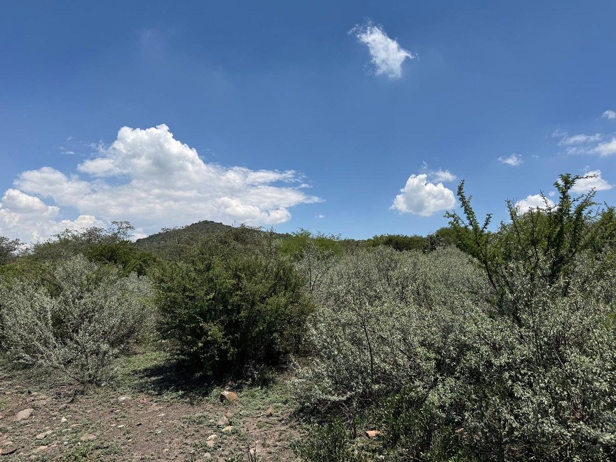 Lote em Atotonilco de Tula Centro, Atotonilco de Tula, foto 16 de 24