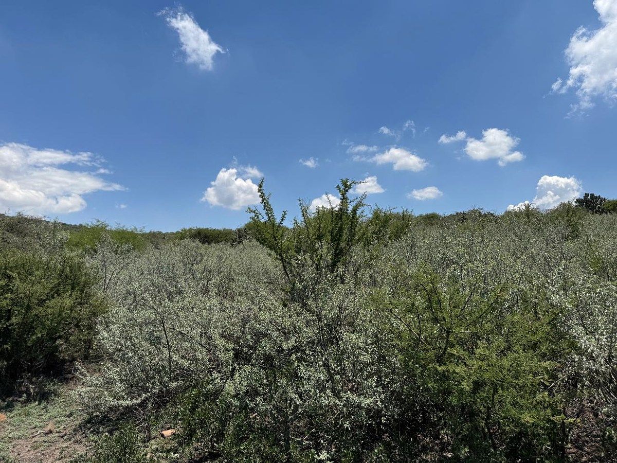 Lote em Atotonilco de Tula Centro, Atotonilco de Tula, foto 15 de 24