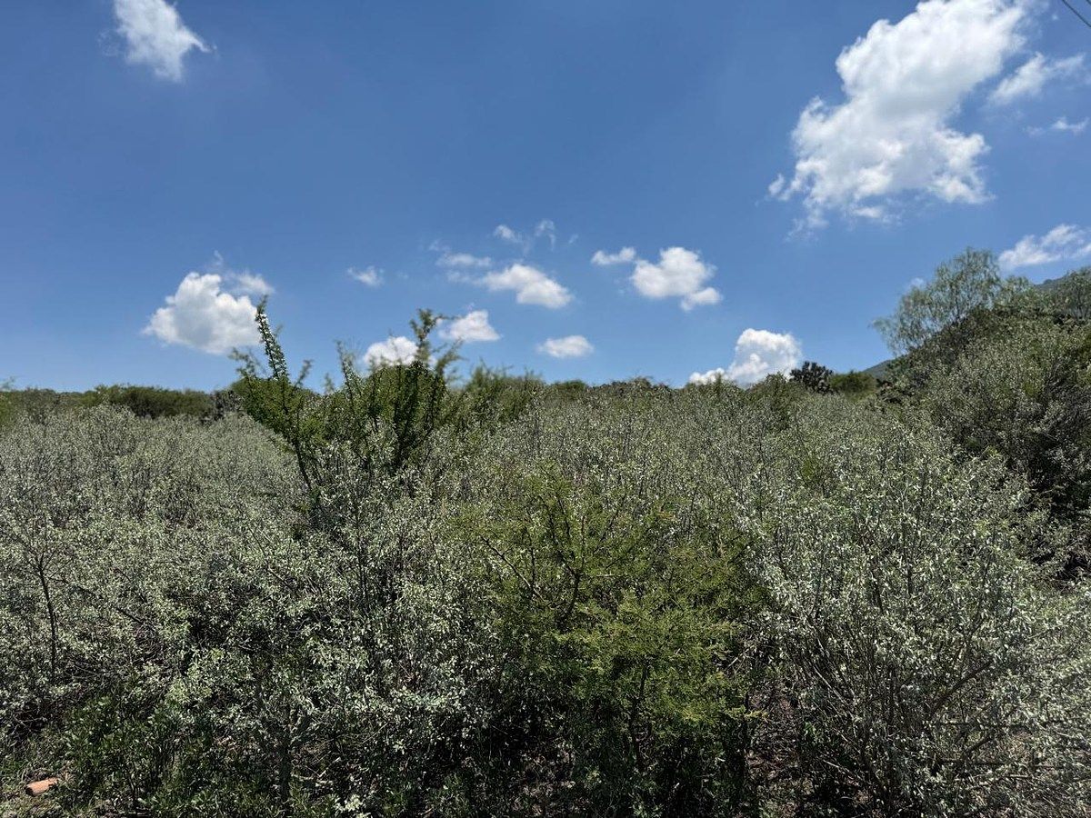 Lote em Atotonilco de Tula Centro, Atotonilco de Tula, foto 19 de 24