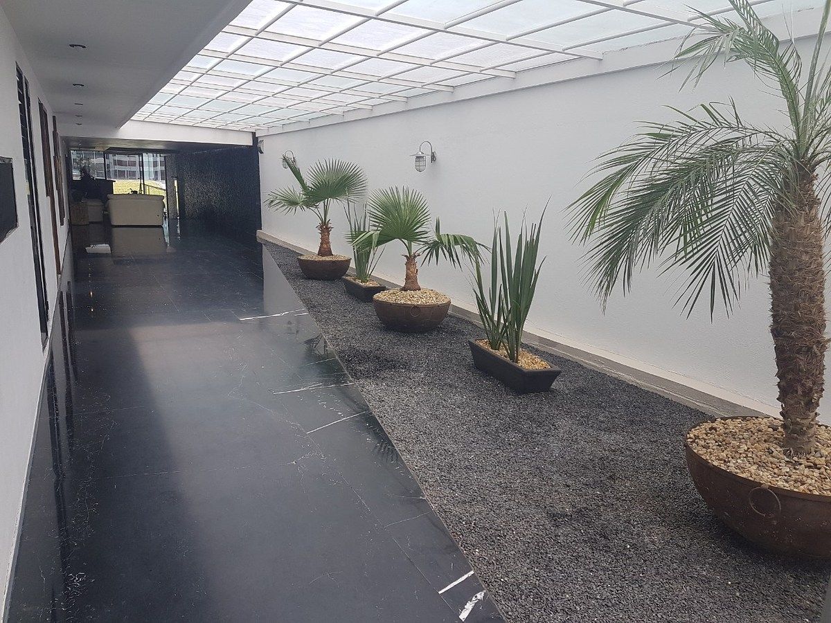 Apartment in Ampliación Granada, Miguel Hidalgo, photo 8 of 38