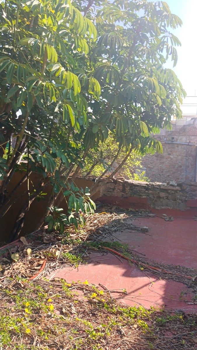 Casa en Centro, Querétaro, foto 26 de 39
