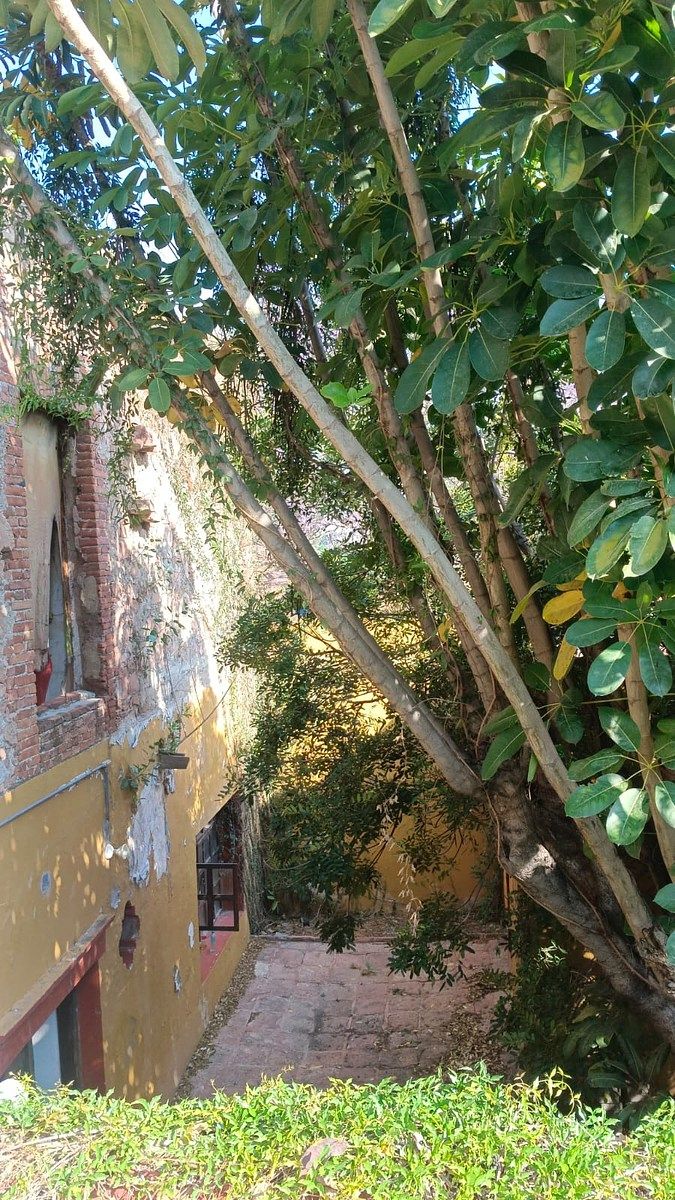 Casa en Centro, Querétaro, foto 36 de 39