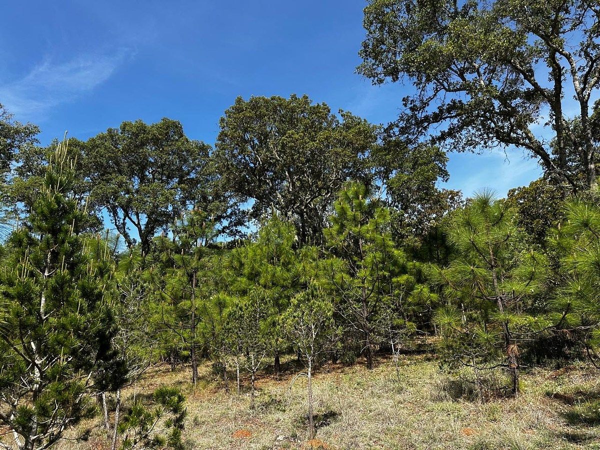 Lot in Atemajac de Brizuela, Atemajac de Brizuela, photo 4 of 11