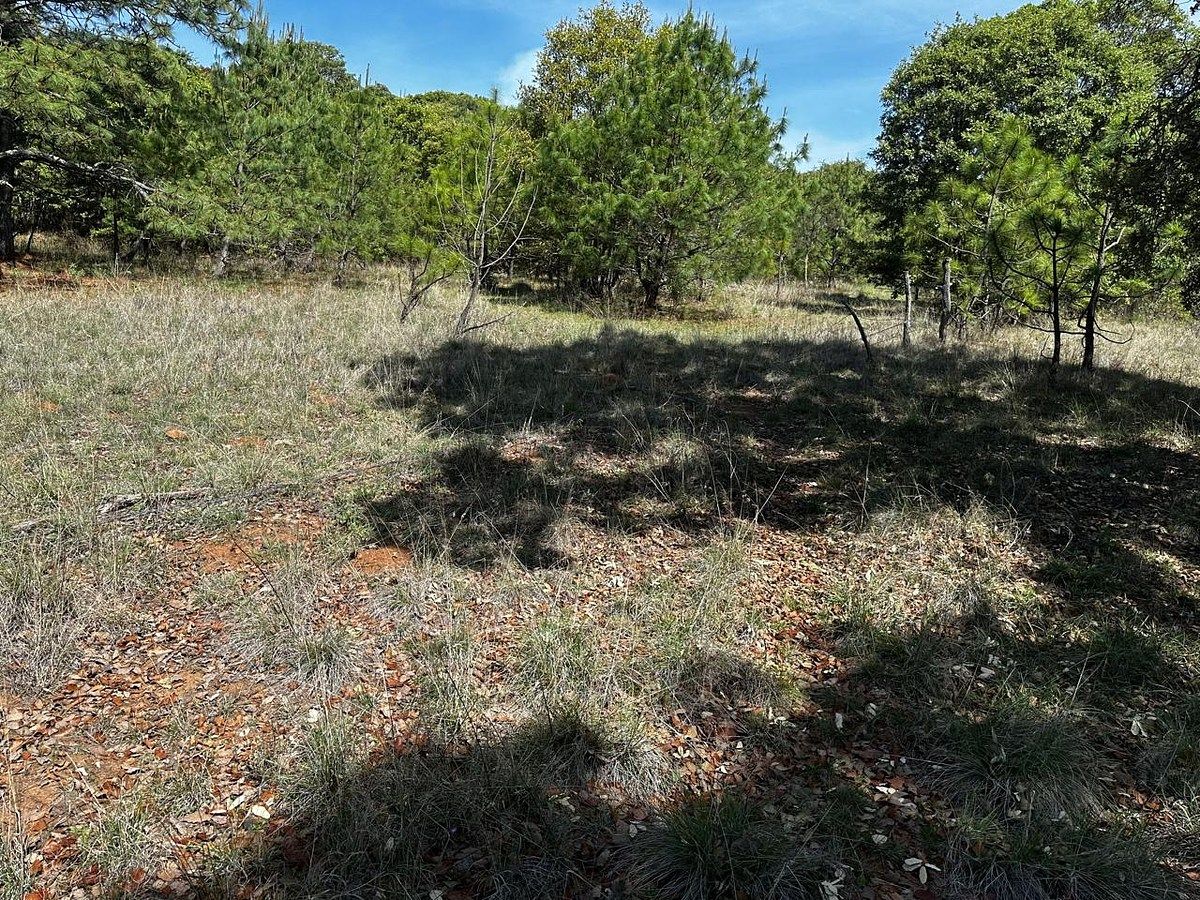 Lot in Atemajac de Brizuela, Atemajac de Brizuela, photo 7 of 11