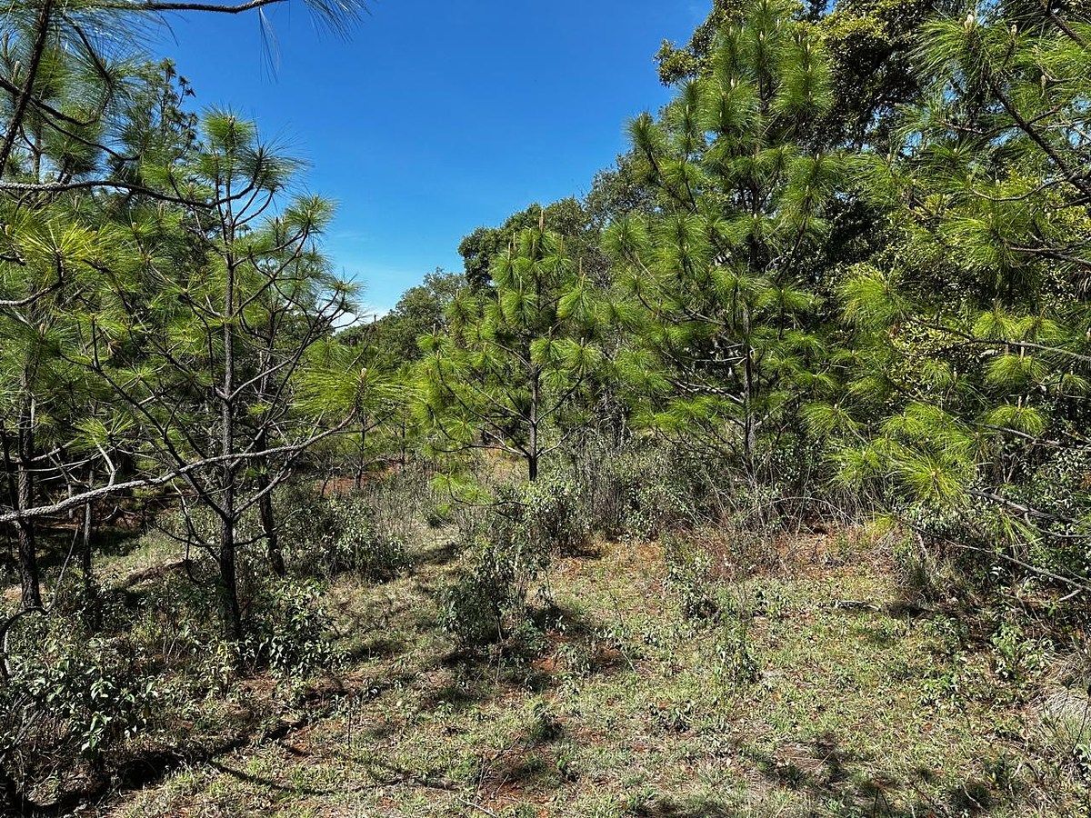 Lot in Atemajac de Brizuela, Atemajac de Brizuela, photo 10 of 11