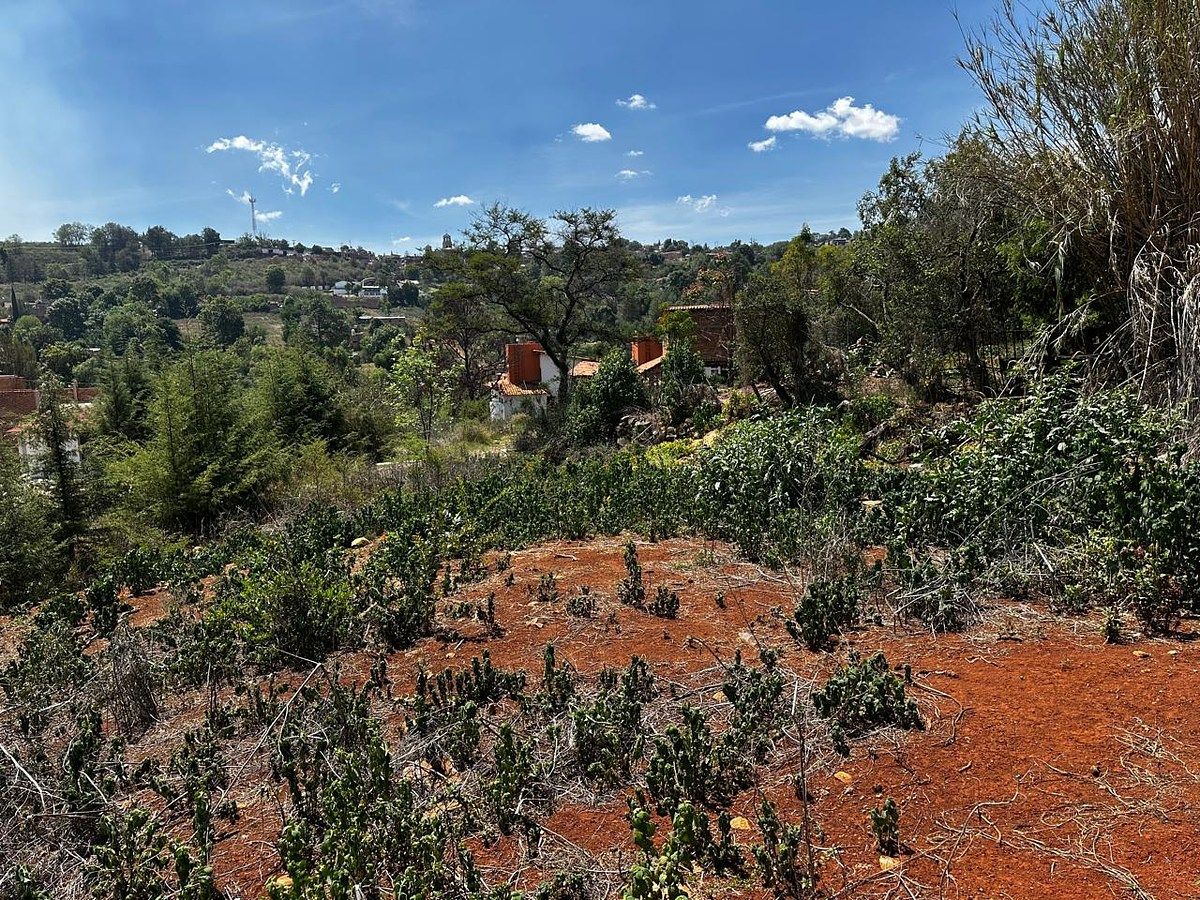Lot in Atemajac de Brizuela, Atemajac de Brizuela, photo 5 of 8