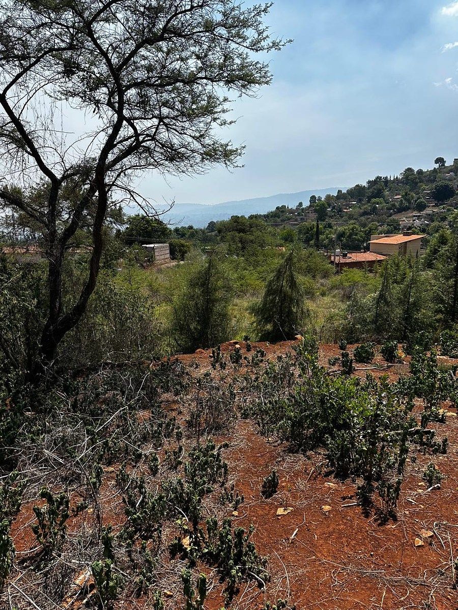 Lot in Atemajac de Brizuela, Atemajac de Brizuela, photo 6 of 8