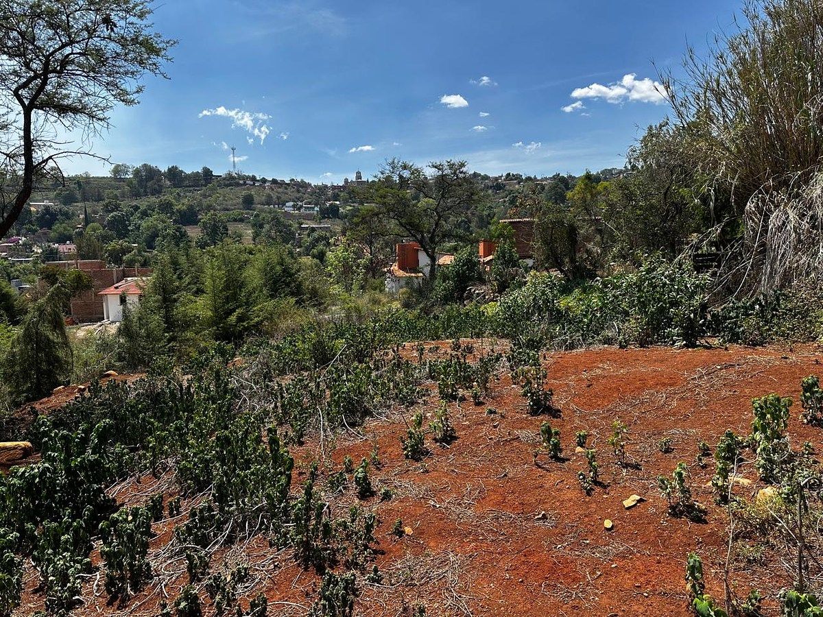 Lot in Atemajac de Brizuela, Atemajac de Brizuela, photo 8 of 8