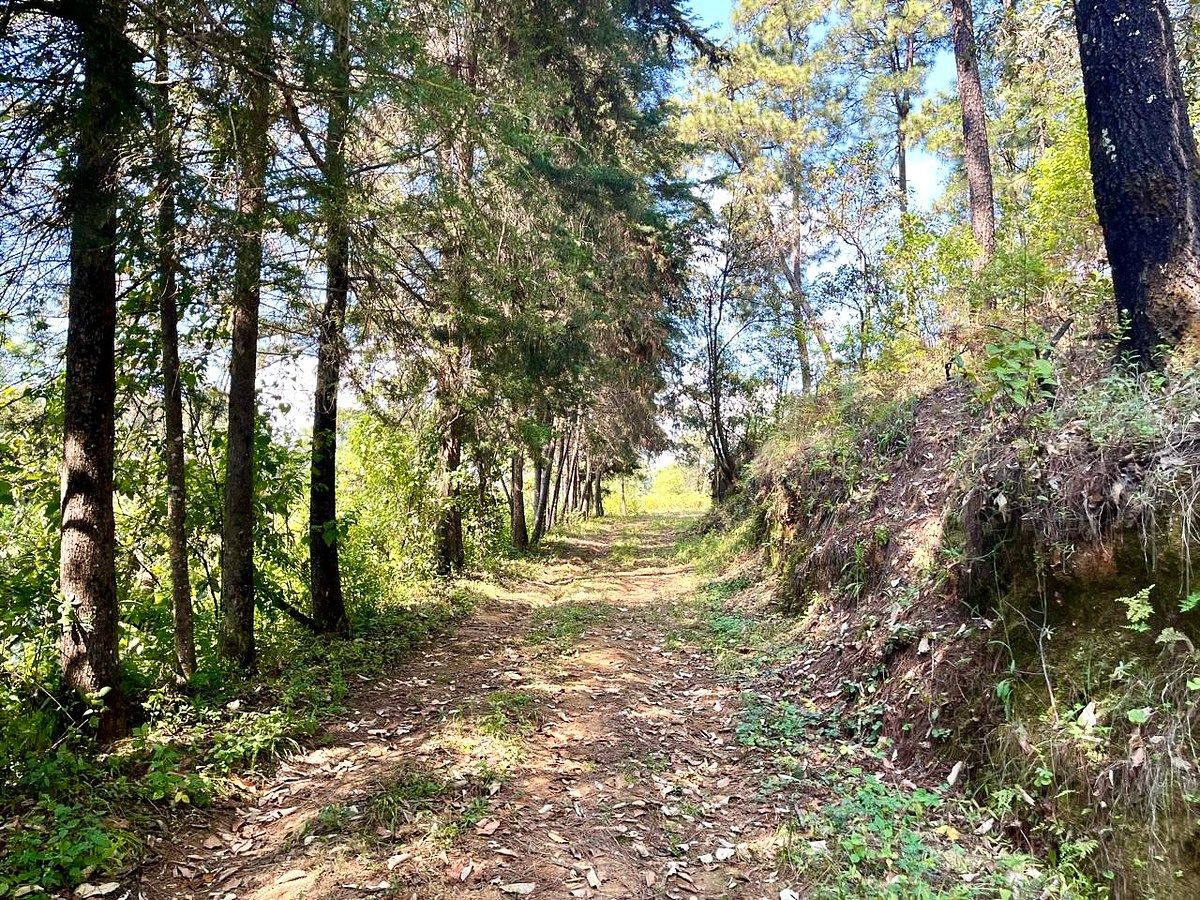 TERRENOS RANCHO EFATA, VALLE DE BRAVO, foto 1 de 14