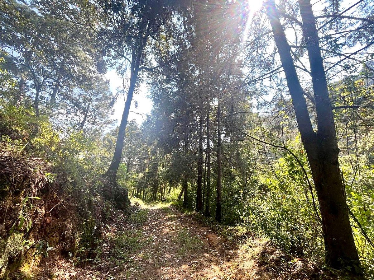 Lote em Rincón de Estradas, Valle de Bravo, foto 3 de 14