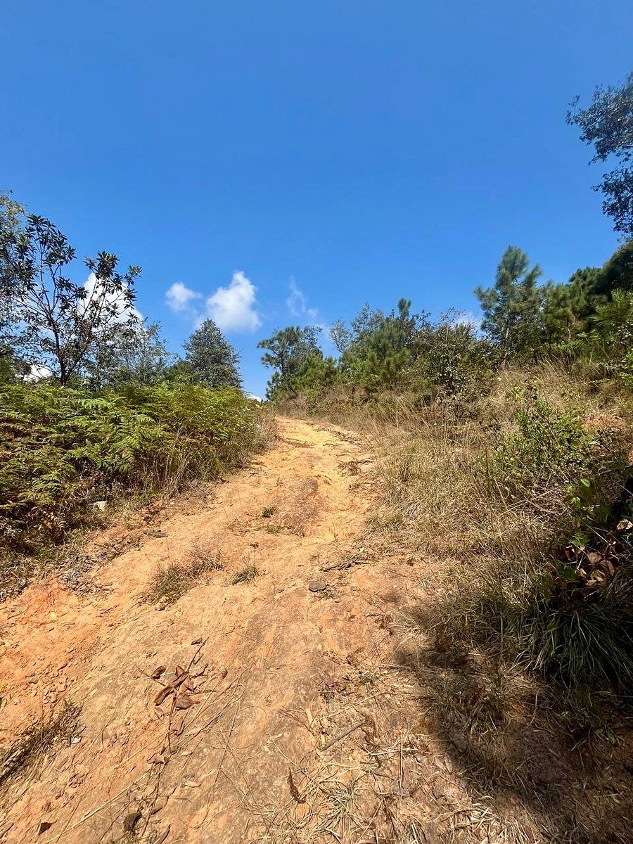 Lote em Rincón de Estradas, Valle de Bravo, foto 4 de 14