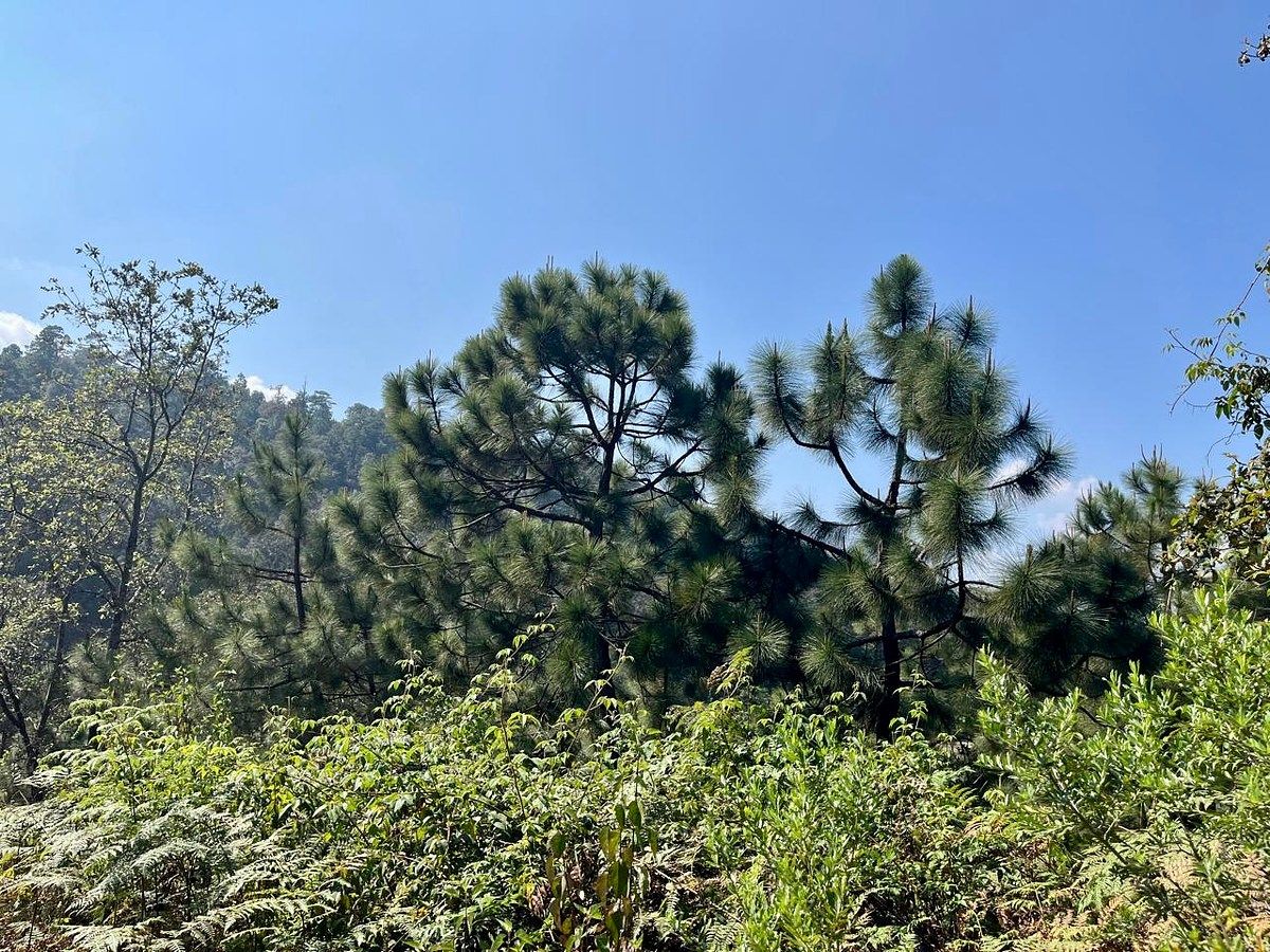Lote em Rincón de Estradas, Valle de Bravo, foto 5 de 14