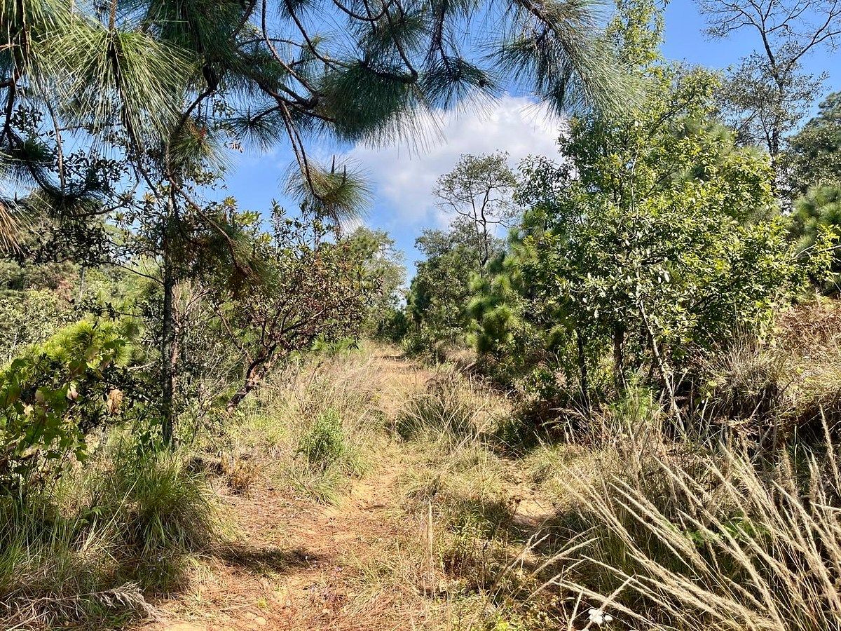 Lote em Rincón de Estradas, Valle de Bravo, foto 6 de 14