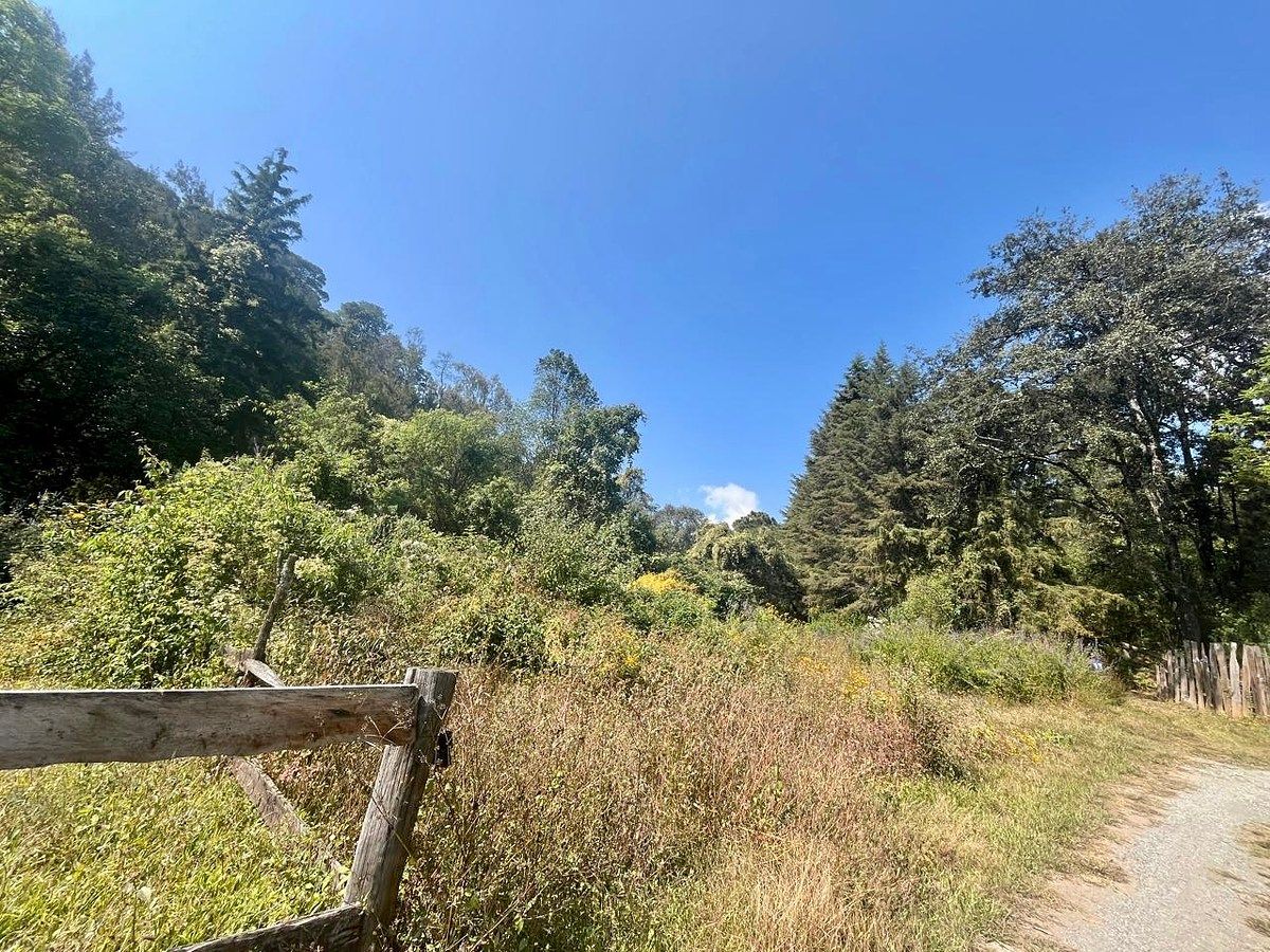Lote em Rincón de Estradas, Valle de Bravo, foto 8 de 14