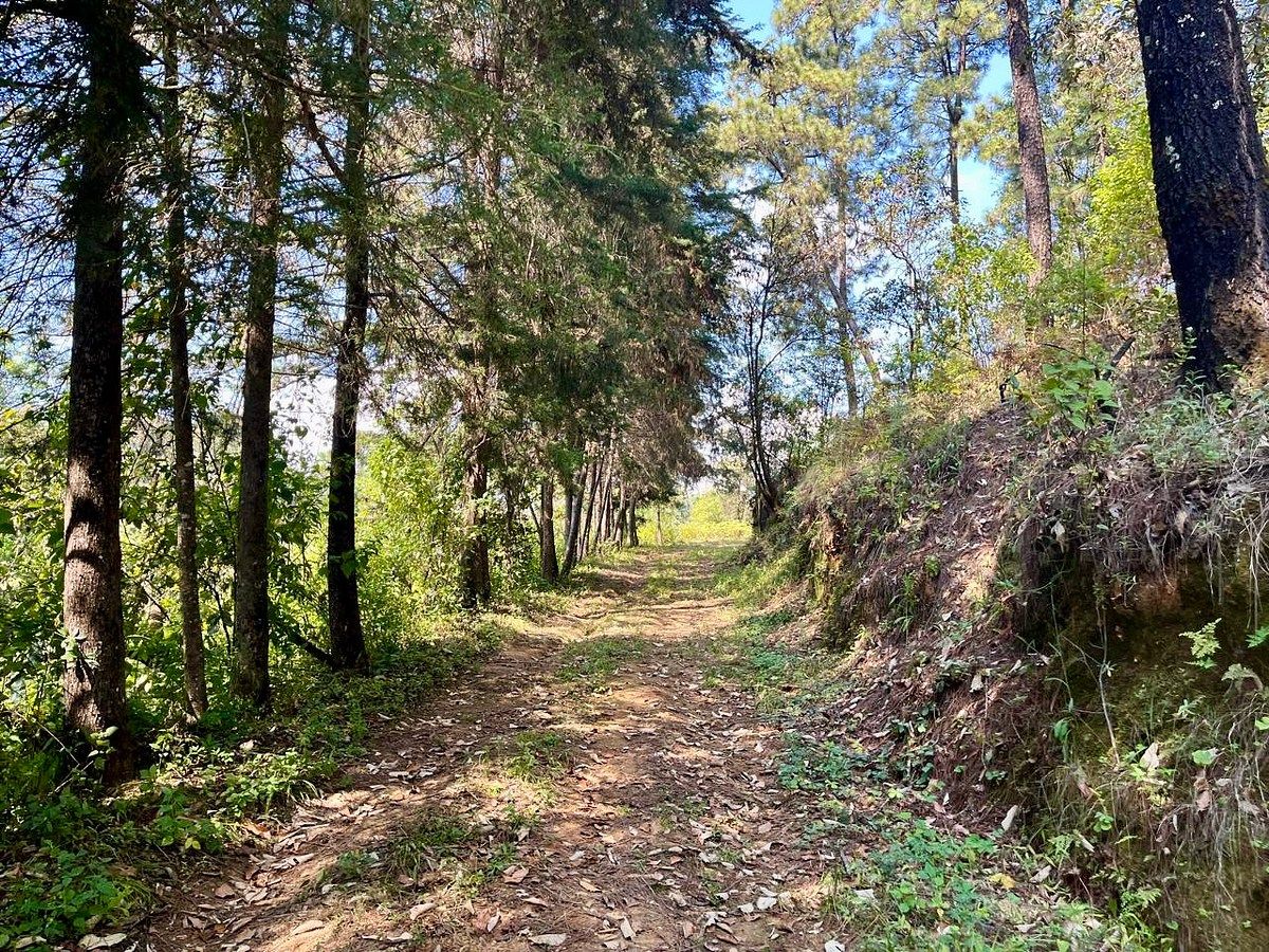 Lote em Rincón de Estradas, Valle de Bravo, foto 9 de 14