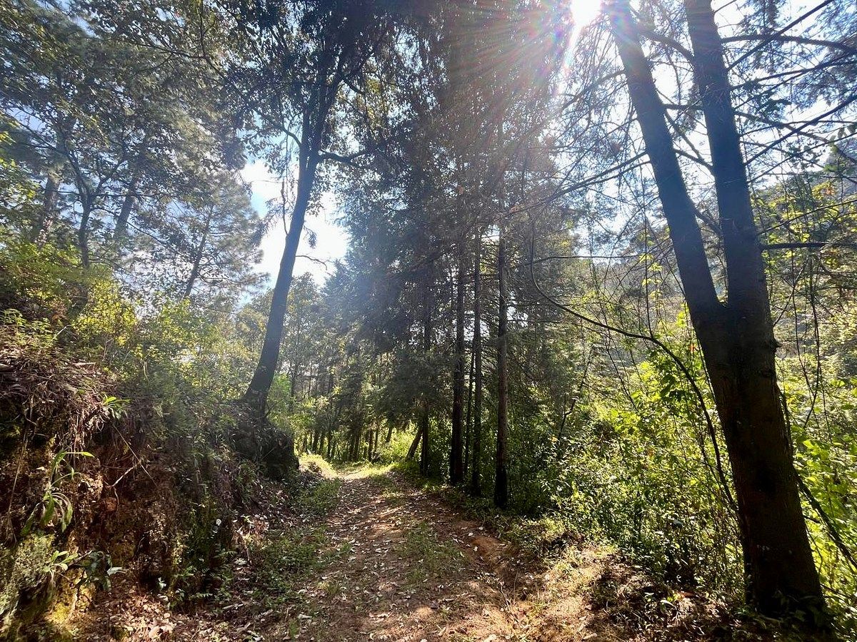 Lote em Rincón de Estradas, Valle de Bravo, foto 10 de 14